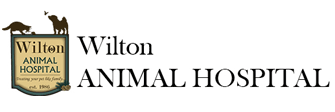 Wilton Animal Hospital